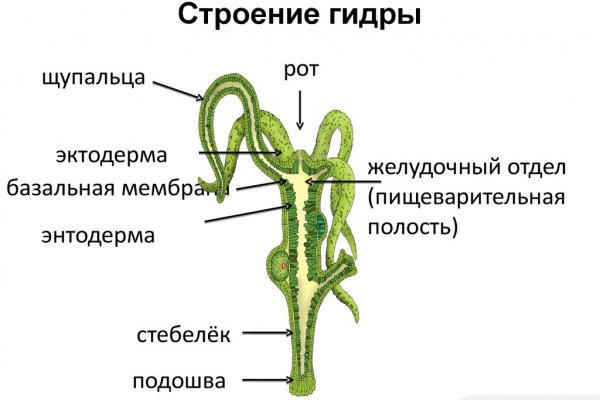 Ссылка на кракен 2024