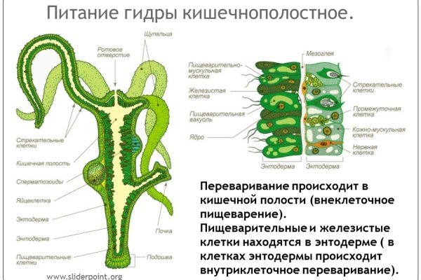 Кракен зеркало onion