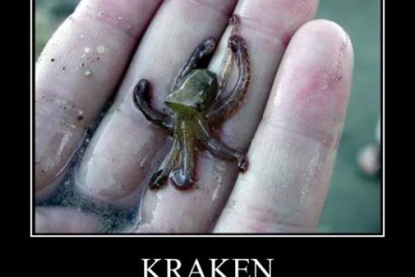 Kraken at17